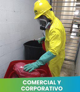 comercial y corp ogreen