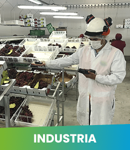 industria ogreen